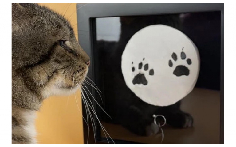 Pet Paw Print Shadow Box